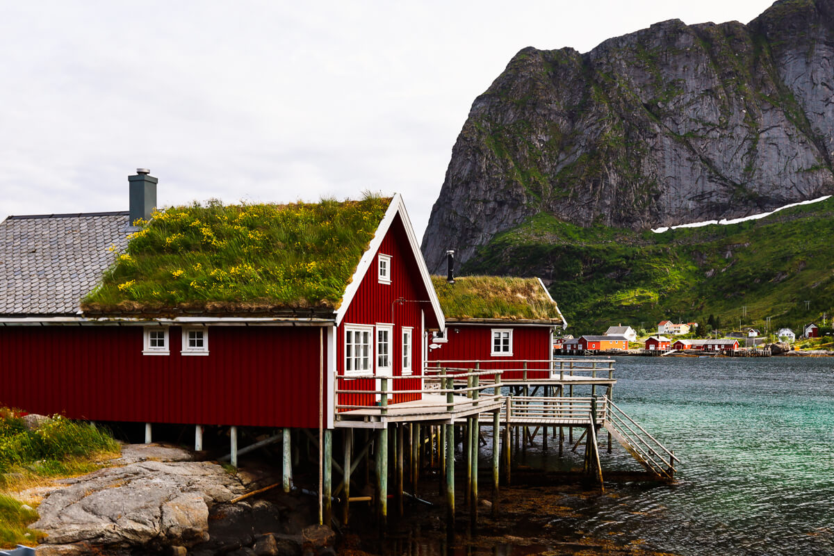 Reine