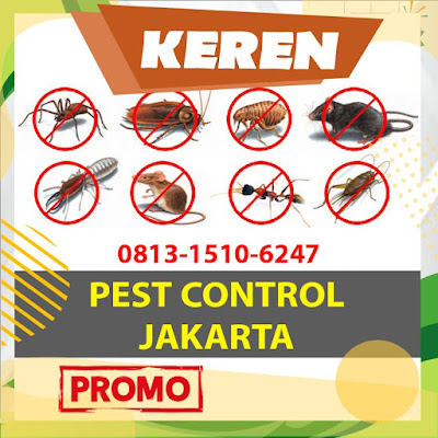 Pest Control Basmi Tikus, Nyamuk, Kecoa, Rayap Di Cengkareng