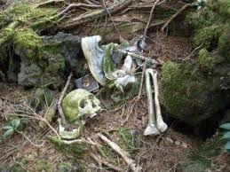 Aokigahara, Jepang - Jurukunci4.blogspot.com