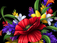Wallpaper HD Flower