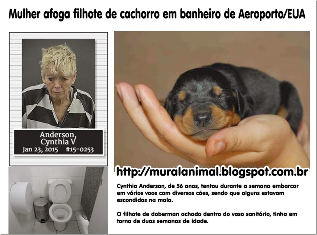 mulher_afoga_cao
