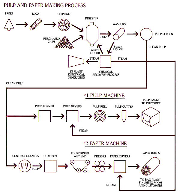 KERTAS