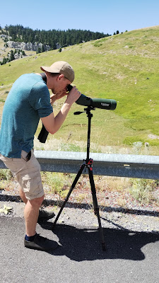 Spotting_birds_at_Mt Parnassos