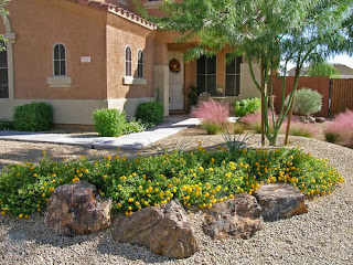 desert landscaping plants; desert landscaping; home landscaping; home landscaping design; home landscaping ideas; desert landscape design; landscaping ideas; garden design; garden idea; home decor; outdoor home decor; outdoor home design; front yard design; backyard design; front yard landscaping; backyard landscaping; yard landscaping