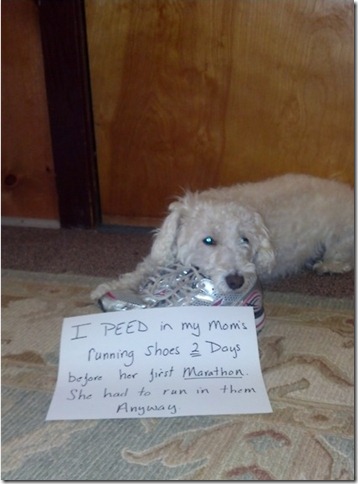 peeshoemarathon