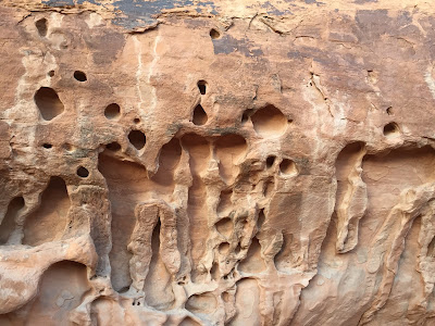 Honeycomb on rock from erosion