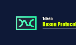 Boson Protocol, BOSON coin