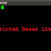 Perintah Dasar Terminal di Linux