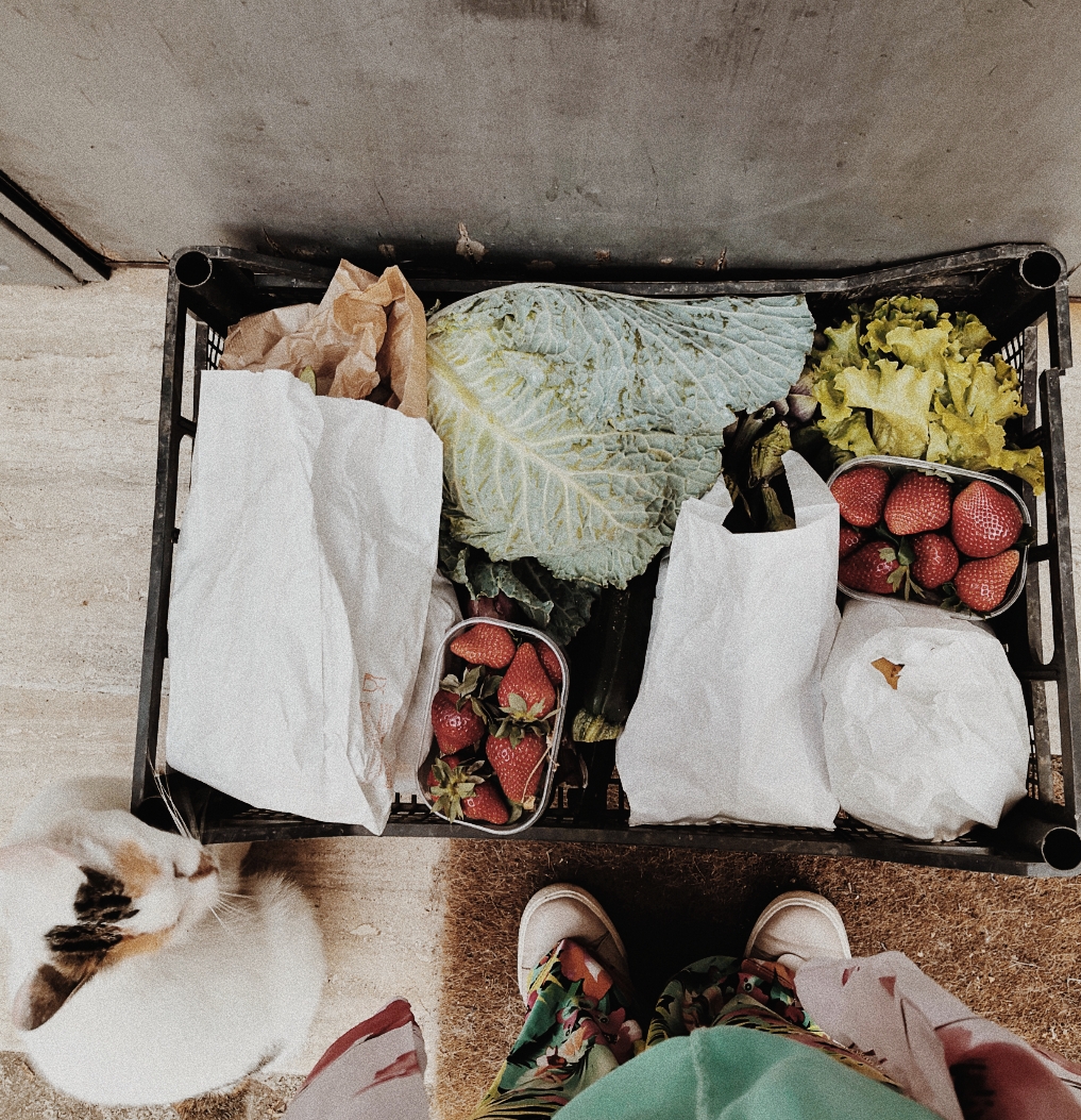 Una cassetta fotografata dall'alto, contenente frutta e verdura fresche, tra cui fragole, insalata e cavolo. Nell'angolo sinistro c'è Pulce, una gatta calico, che si struscia sullo spigolo della cassetta