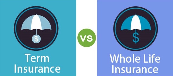 term life insurance vs whole life insurance differences policy pros cons