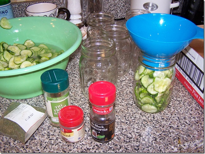 Pickles 053