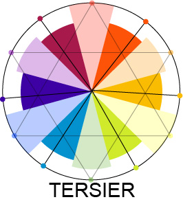 IrfanJulio™: Teori Warna (Brewster)