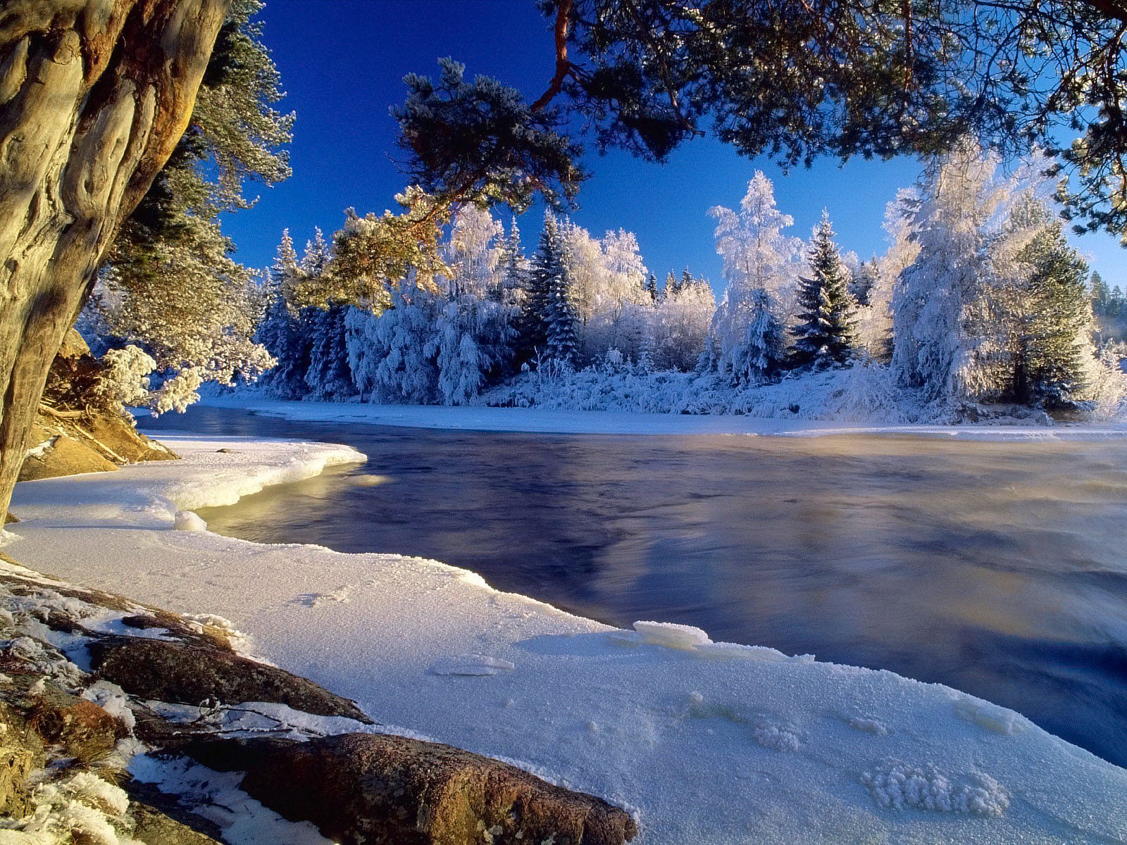 Peisaje de iarna | Wallpapers iarna | Imagini iarna | Download peisaje ...