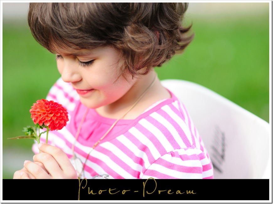 DVM_9467_003 copy