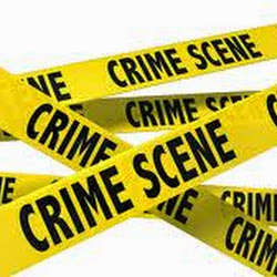 BLUE JAYS 14 RED SOX 1 F...CRIME SCENE at FENWAY Park...Wanted: R.A. DICKEY, MELKY C., JOSE Bats, GOINS, KAWASAKI, and THOLE...C.S.I. Bluedude Sportstalk is Back and at FENWAY! #JAYSnation #CARMINESBadBusiness    