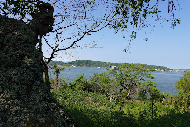 東郷湖一周ウォーキングコースからの眺めが綺麗です