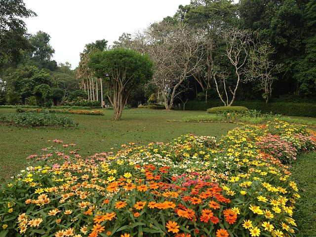 Botanical Garden in sri lanka