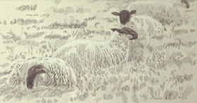 Blackface Highlanders, near Glamis Castle, Forfar, Angus, Scotland  20x40 inches. Pen and ink wash on paper, c. 1992 by F. Lennox Campello