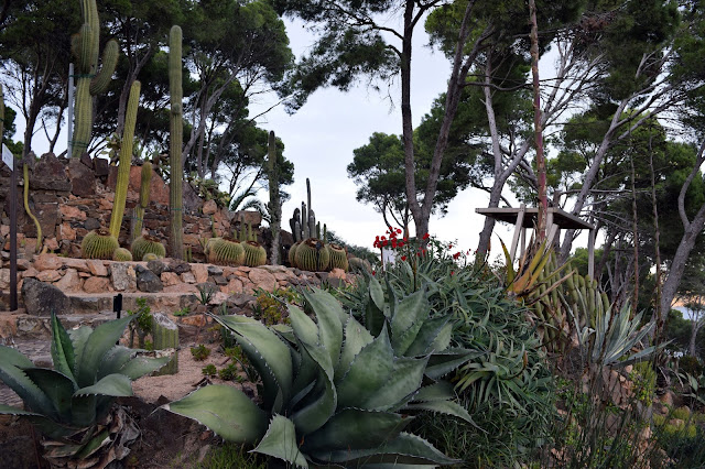 Jardí Botànic de Cap Roig - Silky Views