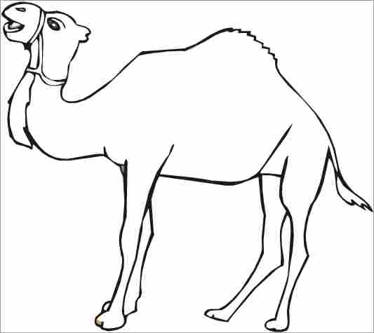 Camel Coloring Sheet 1