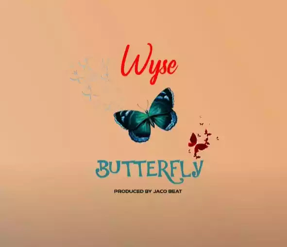 Wyse - Butteryfly