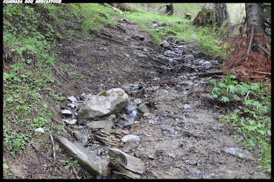 chemin-torrentiel