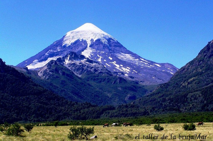 006ElTaller_campos Argentinos