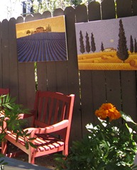 IMG_0684 IMG_0684