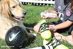 Get the stink out of soccer cleats with isle of dogs odor neutralizing spray