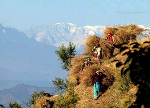 विकास तेरी आस मा