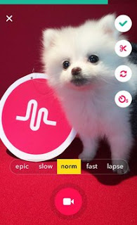 Download musical.ly APK 4.13.6 Latest Version Update Download musical.ly APK 4.13.6 Latest Version Update