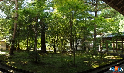 New panorama 3 копия