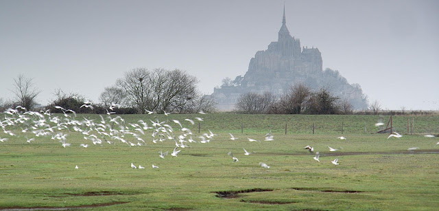 Normandy's Mont Saint Michel reveals new secrets