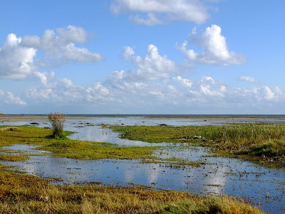 terschelling groene strand