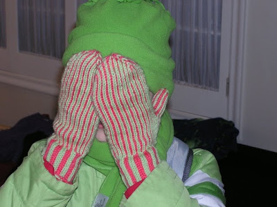 picture of mittens being worn, covering the wearer's face