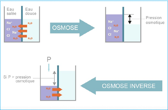 osmose