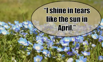 April quotes - Quotes about April - Quotes For April - April images