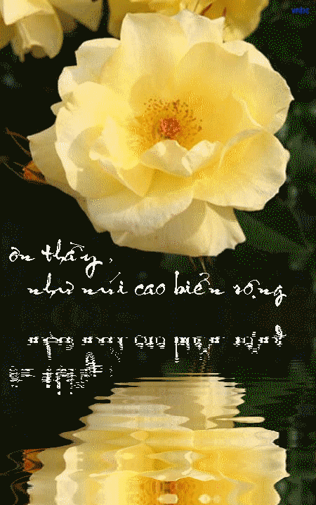 anh-thiep-vu-lan (25)