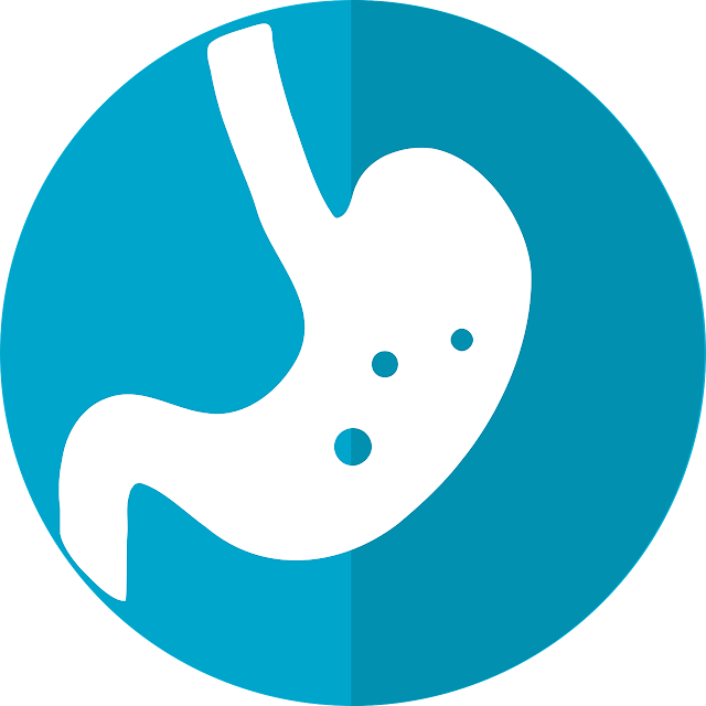 What is role of saliva in digestion of food