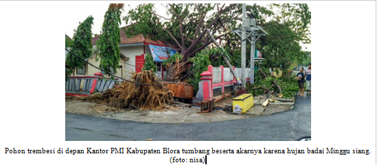 Hujan badai disertai angin kencang dan petir di Blora