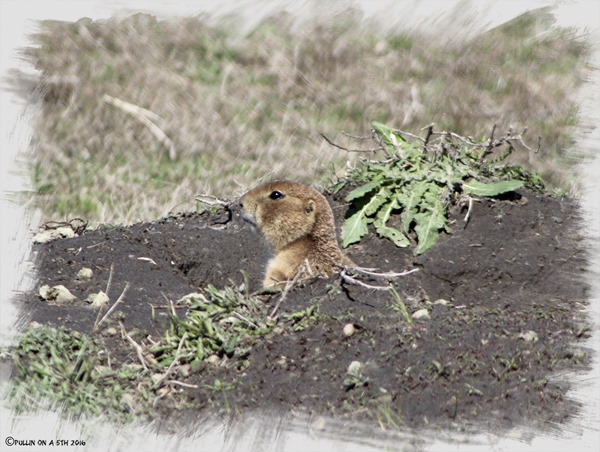 IMG_1157_Fotor