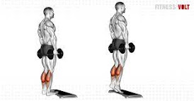 Calf Raises