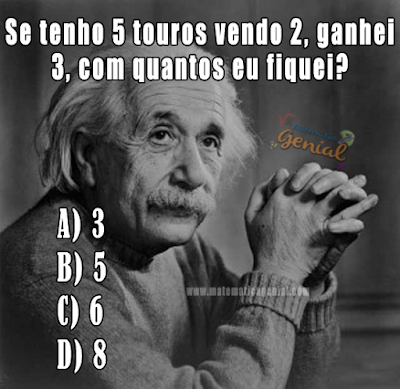 Teste - Se tenho 5 touros vendo 2, ganhei 3, com quantos eu fiquei?