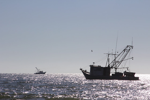 Shrimp Boats at Matagorda Beach