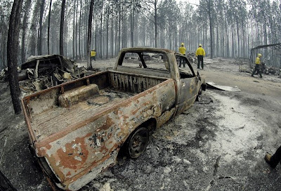 USA forest fire