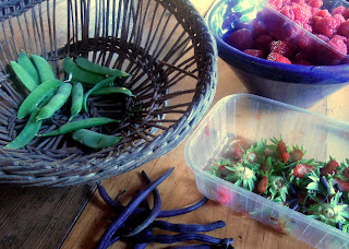 garden harvest france