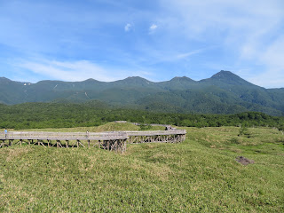 知床五湖の高架木道