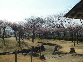 龍野城内の梅林です。