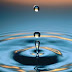   Water Facts of Life Ride the Water Cycle With These Fun Facts