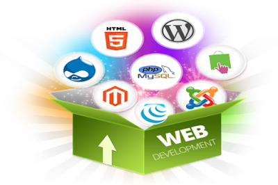 Website Designing Company in Delhi